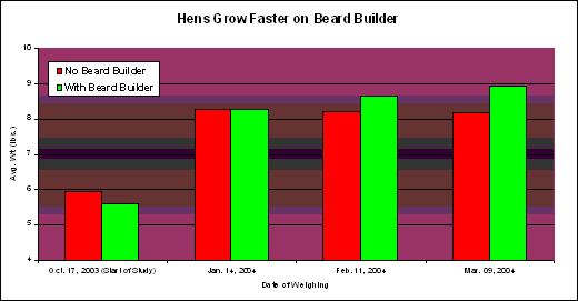 Hens Grow Faster On Beard Buillder!